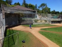 Strawberry Recreaction District baseball diamond, 2016