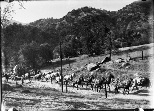 Unknown Photographer, Three Rivers area, Construction, hauling first armature to power-house No. 1 on Kaweah River. 7 teams and wagon. 970000 (1897)