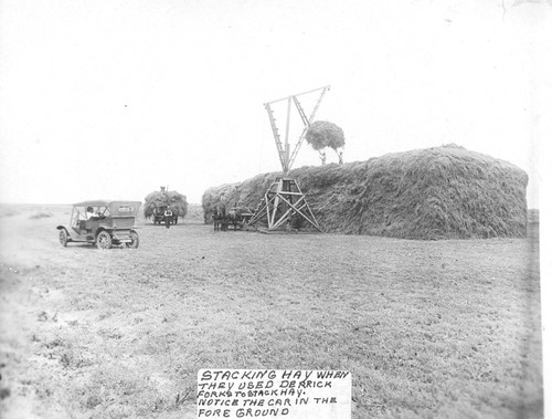 Stacking hay with derrick near Corcoran