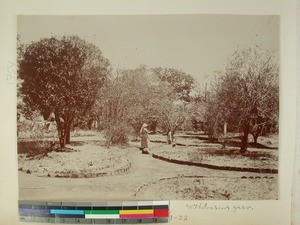 Scene from garden at Soavina Mission Station, Soavina, Madagascar, 1922-09-21