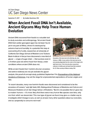 When Ancient Fossil DNA Isn’t Available, Ancient Glycans May Help Trace Human Evolution
