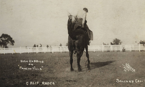 Ben Dobbins, California Rodeo