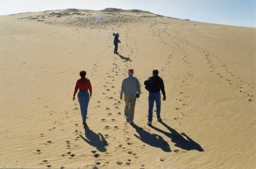 Micky Moore and others on the Guadalupe-Nipomo Dunes