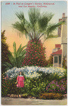 In Paul de Longpre's garden, Hollywood, near Los Angeles, California, 2230
