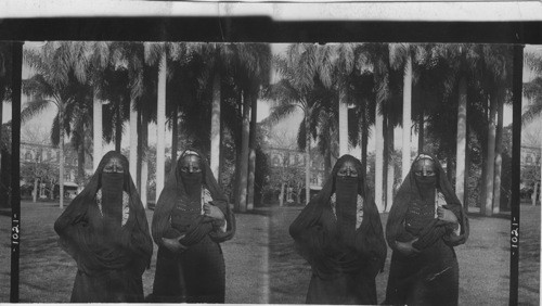 Veiled women of Cairo, Egypt