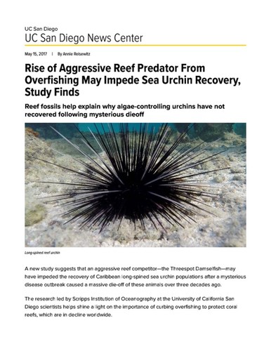 Rise of Aggressive Reef Predator From Overfishing May Impede Sea Urchin Recovery, Study Finds