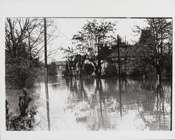 Streets of Guerneville during flood of Dec. 1937