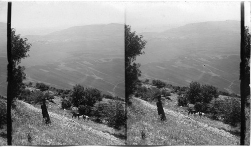 From Mt. Tabor to the Jordan over the Plain of Esdraelon, Palestine