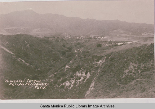 Looking up Temescal Canyon toward the Santa Monica Mountains with thick Chaparral on the native terrain