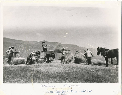 Men building hay on Santa Maria Ranch, Topanga, California