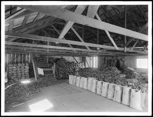 Interior of the ore house at Randsburg, ca.1900