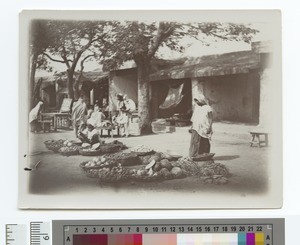 Vegetable Seller, Punjab, Pakistan, ca.1910
