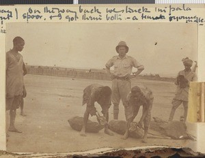 Shot impala. Matikira, Tanzania, November 1917