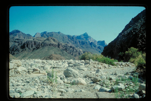 Junction of Peach Springs Wash and Diamond Creek