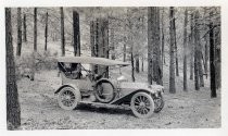 Automobile parked in the forest