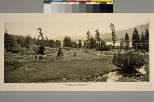 This Property adjoins Donner Lake Sub-division No.1 (Notice stream of mountain water)
