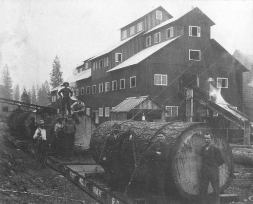 Logs on flatcars at unidentified sawmill