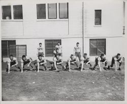 Leghorns pose, Petaluma, California, 1947