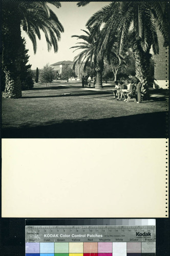 University of Arizona. Grounds, students and Exterior