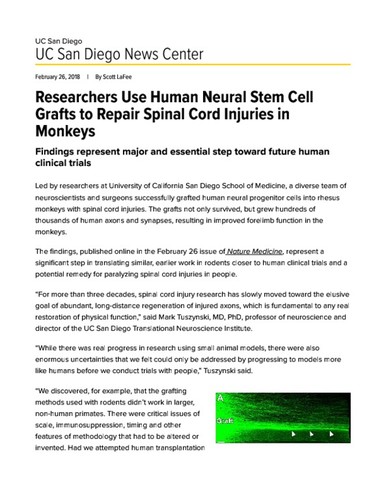 Researchers Use Human Neural Stem Cell Grafts to Repair Spinal Cord Injuries in Monkeys