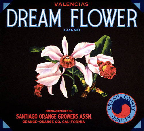 Dream Flower Brand Valencias, Santiago Orange Growers Association fruit crate label, ca. 1930