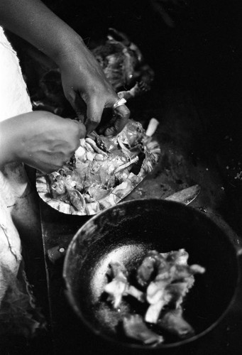 Woman cooking a turtle, San Basilio de Palenque, 1977