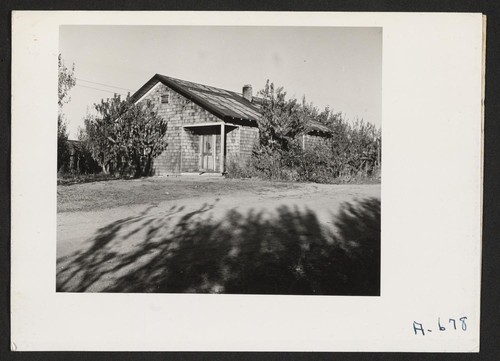 Law ranch--former tenant farmer was Japanese. This is a 60 acre fruit ranch raising largely plums, pears and peaches. Photographer: Stewart, Francis Loomis, California