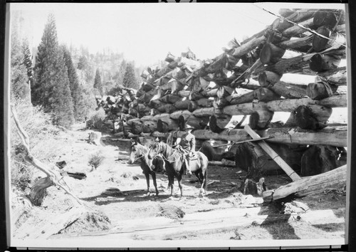 Logging, big Trestle on the Rob Roy Chute. NPS Individuals, Chief Ranger Milo Decker, Grant Park
