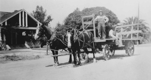 Three brothers farming on West 7th Street, [graphic]