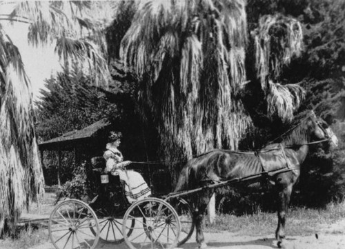 Mary Bell Flint on Sepulveda Avenue in her carriage. [graphic]