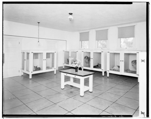 Small Animal Hospital, 74 North Daisy, Pasadena. 1927