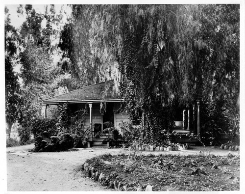 Hugo Reid Adobe, 1903
