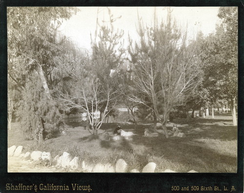 Elias J. "Lucky" Baldwin, Horse Trainer W. McClelland and Many Others on Baldwin's Track