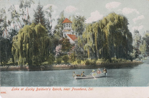 Postcard of Lake at Lucky Baldwin's Ranch--Rowboat and Queen Anne Cottage