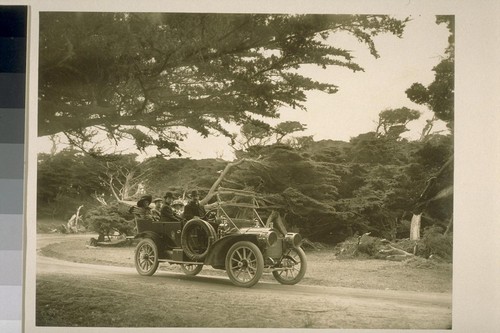 [Unidentified party in automobile, 17-mile Drive. Monterey County.]