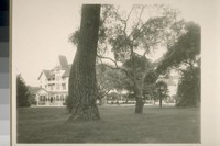 [Hotel Del Monte and grounds. Monterey.]
