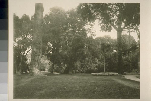 [Grounds, Hotel Del Monte. Monterey.]