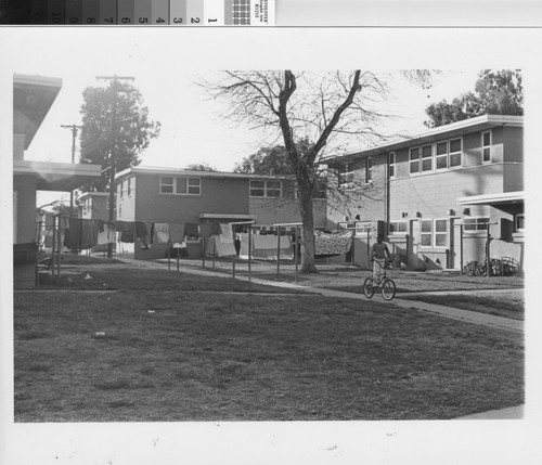 Photograph of courtyard at Jordan Downs housing project strung with clotheslines