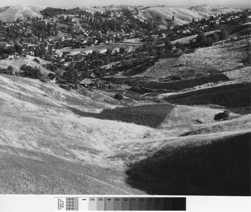 View of site for Rose Hill Courts public housing development (1)