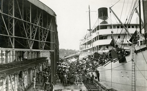 506. Panama: a train load of bananas being transferred to steamship by loading machine at Almiranti