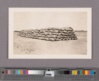 Sacks of wheat, cut and threshed and sacked by the combined harvester. 1903