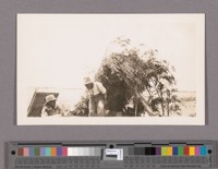 These two Mexicans made adobe bricks for Mr. Miller's house which never was built. Thses[sic] men slept and cooked and lived in this ramada which they built of grease-wood branches. The bricks were destroyed when the Alamo River rose during the summer over-flow of the Colorado River. Year 1903