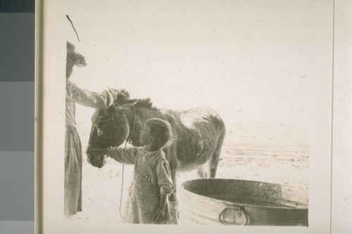 Margaret and Elizabeth Miller with their first burro which gave them very much pleasure and taught them patience and tact and some Spanish in their management of him. They named him "He-Haw"