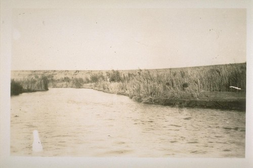 The Alamo River Imperial Valley, California