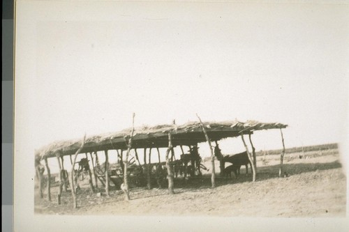 A shelter for the animals. Near Calexico