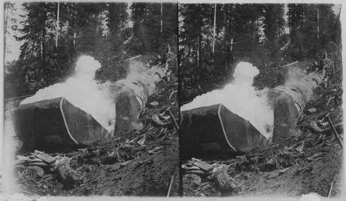 Sequoia log being blasted Converse Basin 1905