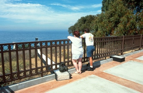 Saline: geveral view toward ocean