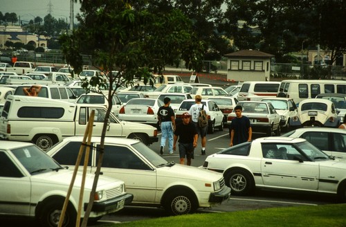 Carpark: Parking lot devoted to white cars