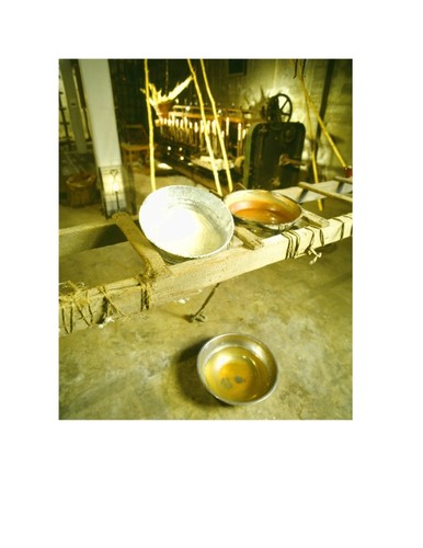Animal Vegetable Mineral