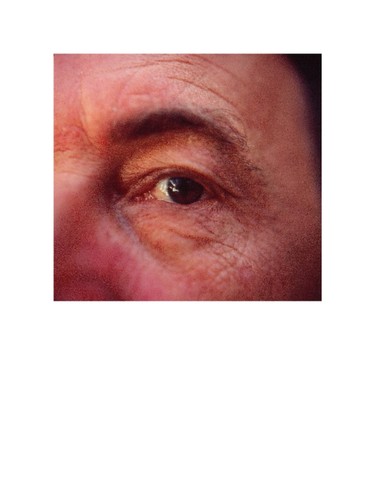 Between the Eyes, the Desert